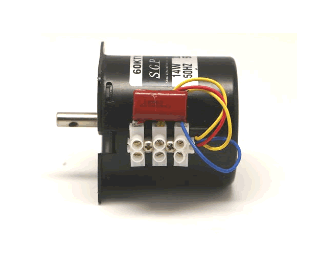 220V 20 Rpm 14W AC Senkron Motor 60-KTYZ