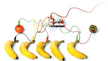 Makey Makey Standart Kit